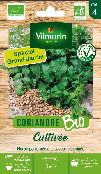 Aromatiques - Coriandre Cultivée - BIO - Grand Modèle - face recto